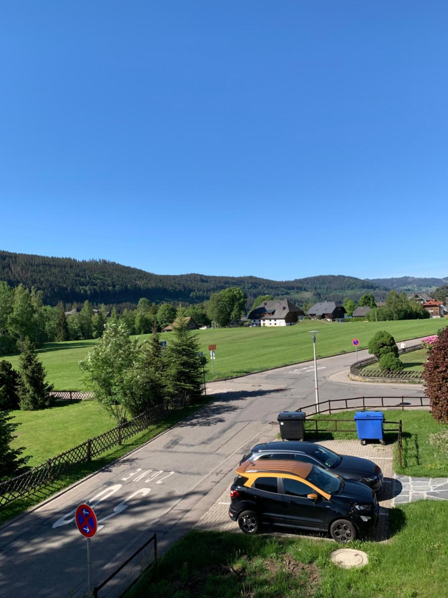 Ferienwohnung Homburger - Titisee Exterior photo